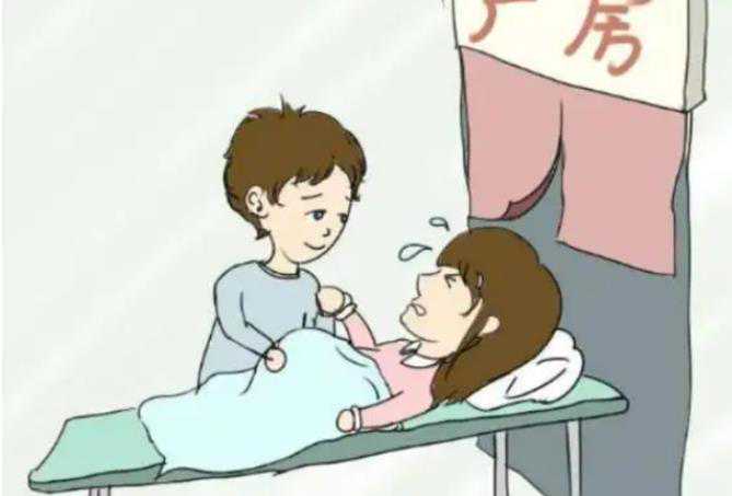 哈尔滨借卵子生子的过程 2022年哈尔滨试管婴儿怎么省钱? ‘男孩三维彩超图’
