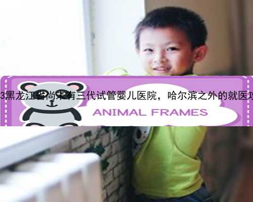 <b>2023黑龙江省尚未有三代试管婴儿医院，哈尔滨之外的就医攻略</b>