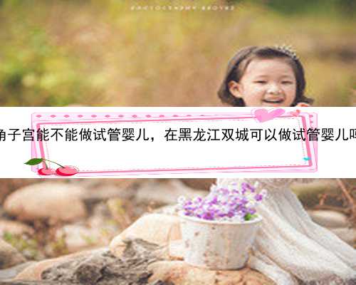 单角子宫能不能做试管婴儿，在黑龙江双城可以做试管婴儿吗？