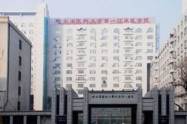 黑龙江靠谱代怀医院,2023
黑龙江三代试管婴儿医院排行榜是怎样的？
